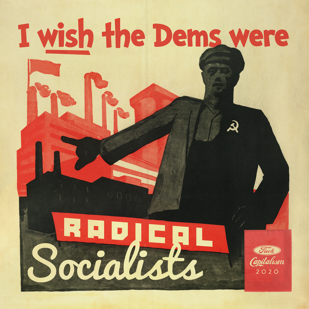 I WISH The Dems Were Radical Socialists Print